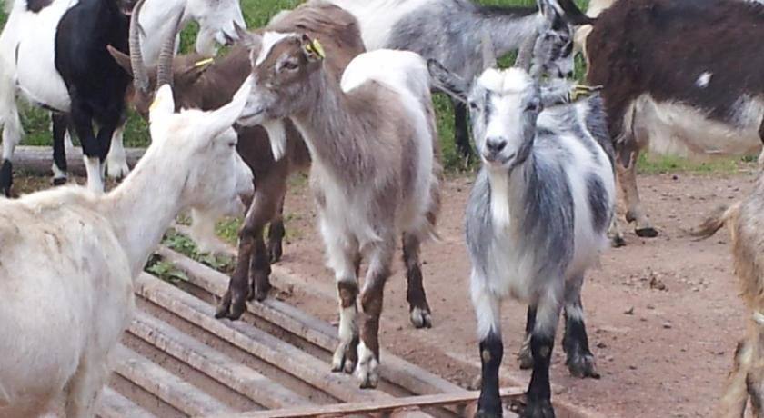 Photo of Others in Orsa