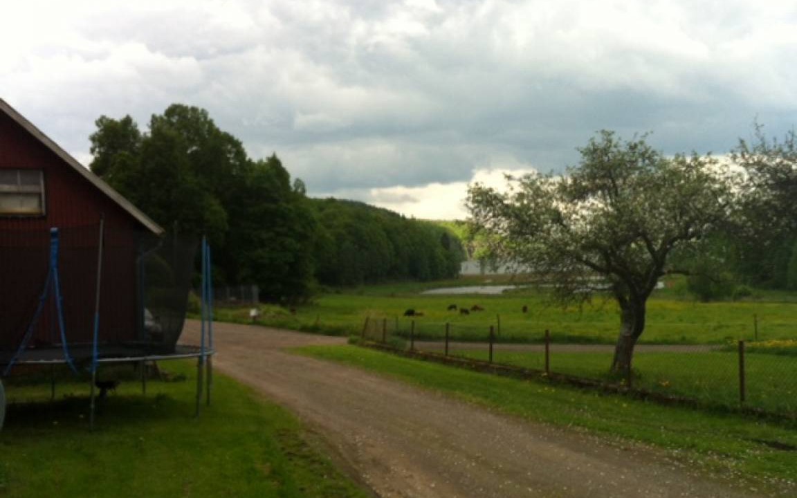 Photo of Others in Veddige