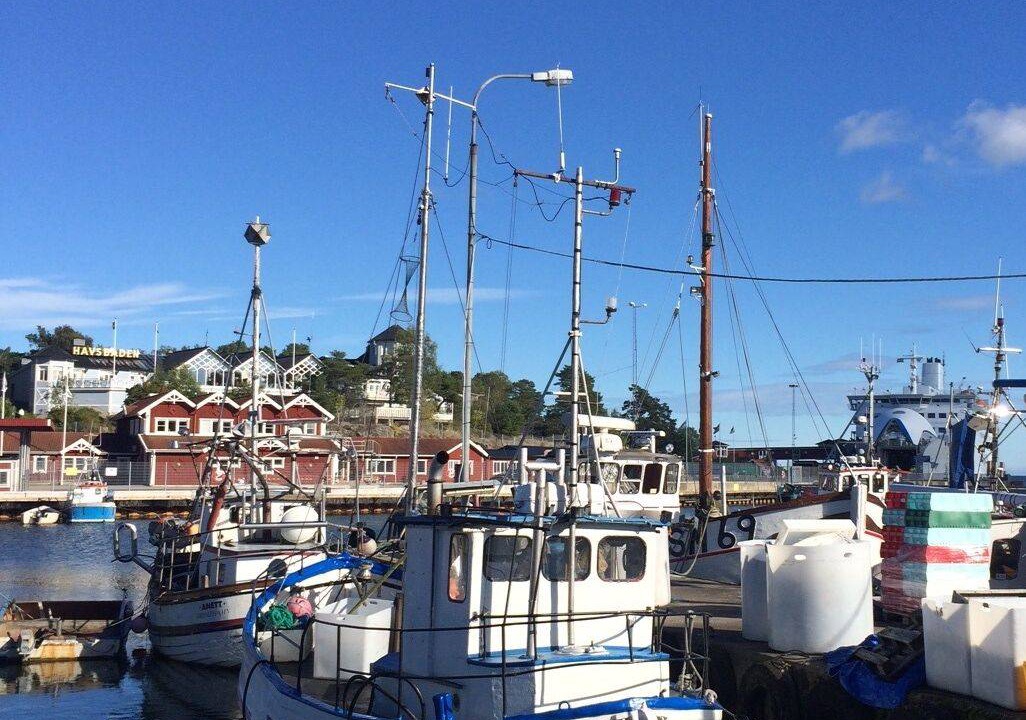 Photo of Others in Grisslehamn