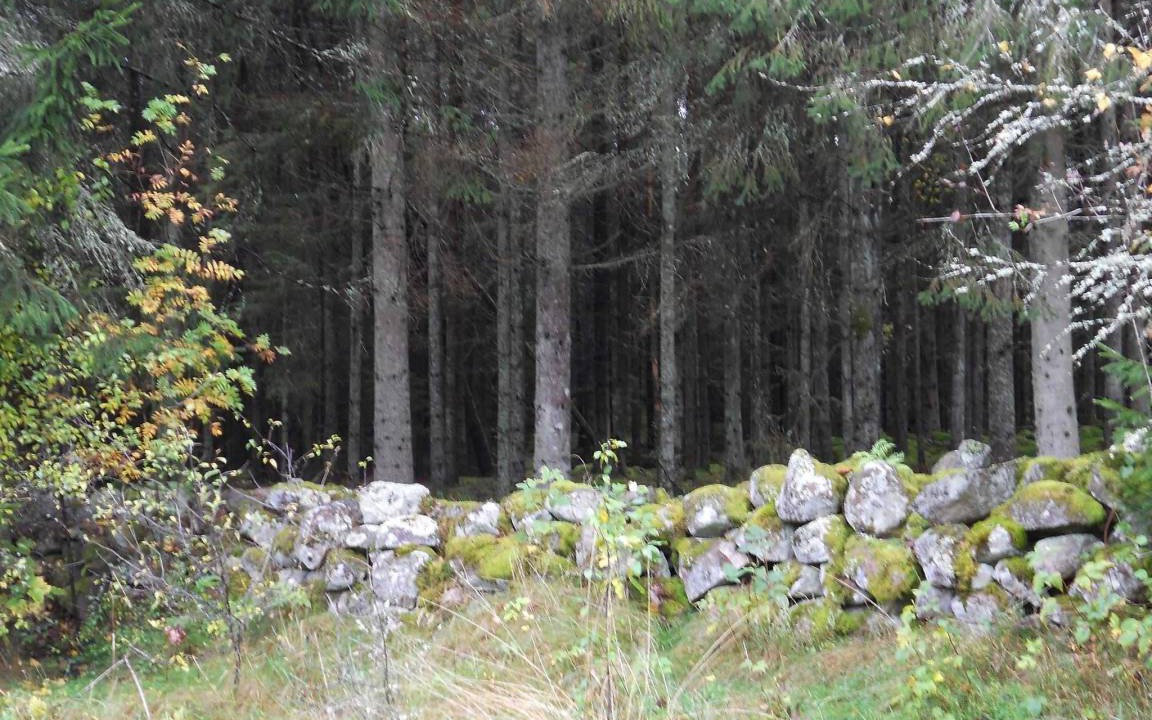 Photo of Others in Osby