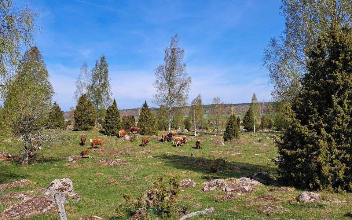 Photo of Others in Fagelfors