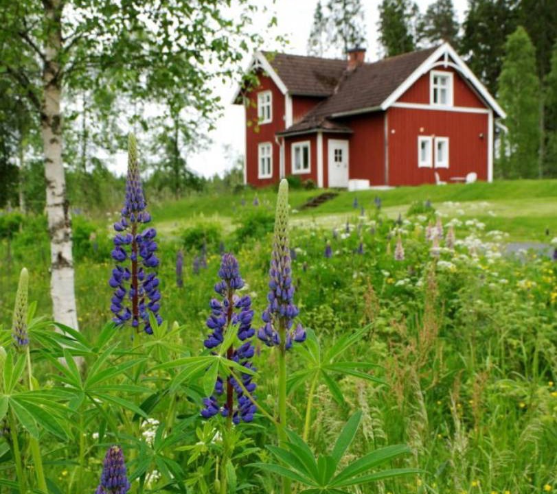 Photo of Buildings in Skillingaryd