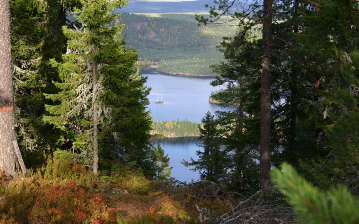 Photo of Others in Mora