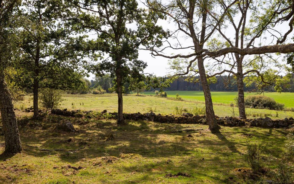 Photo of Others in Arvidstorp