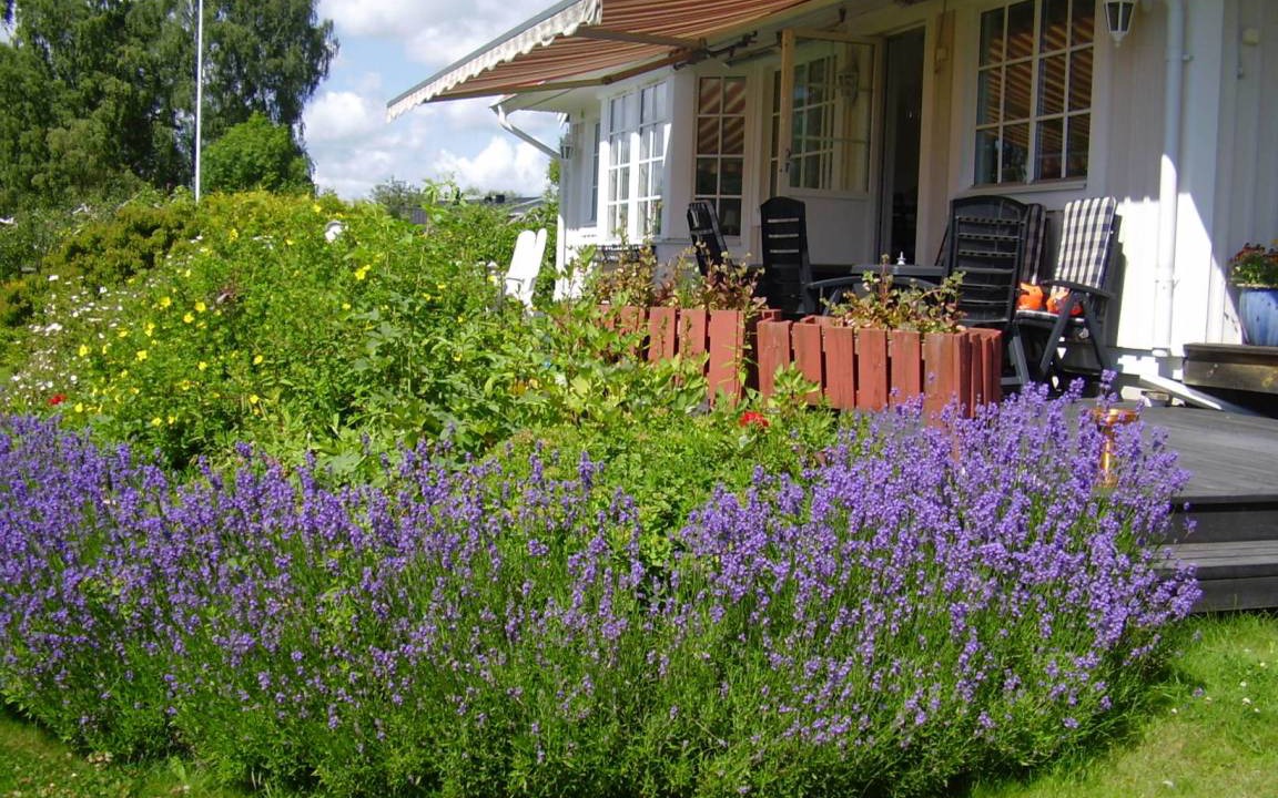 Photo of Others in Centrum-Fanas-Nydal-Vasterangen