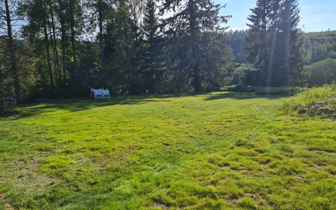 Photo of Others in Skog