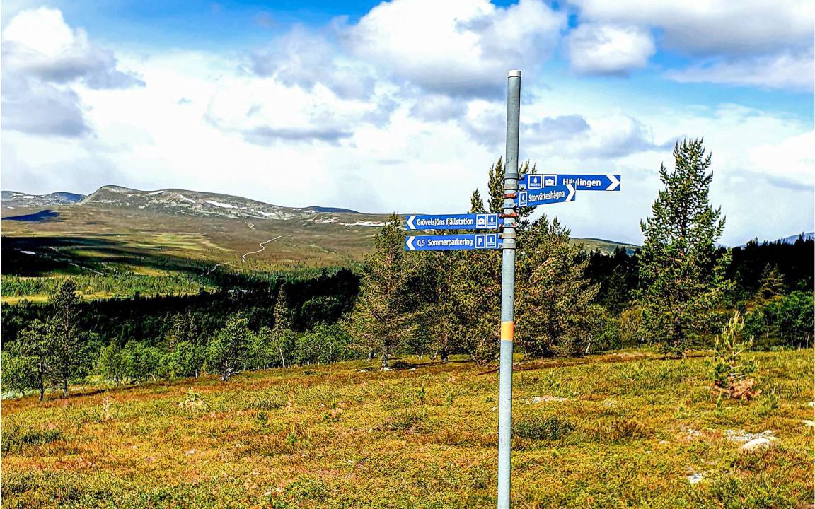 Photo of Others in Ringbo
