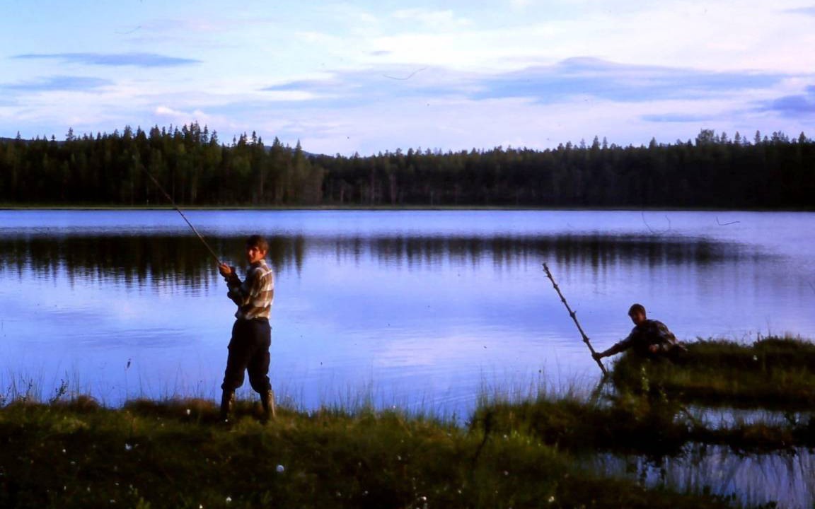 Photo of Others in Letafors