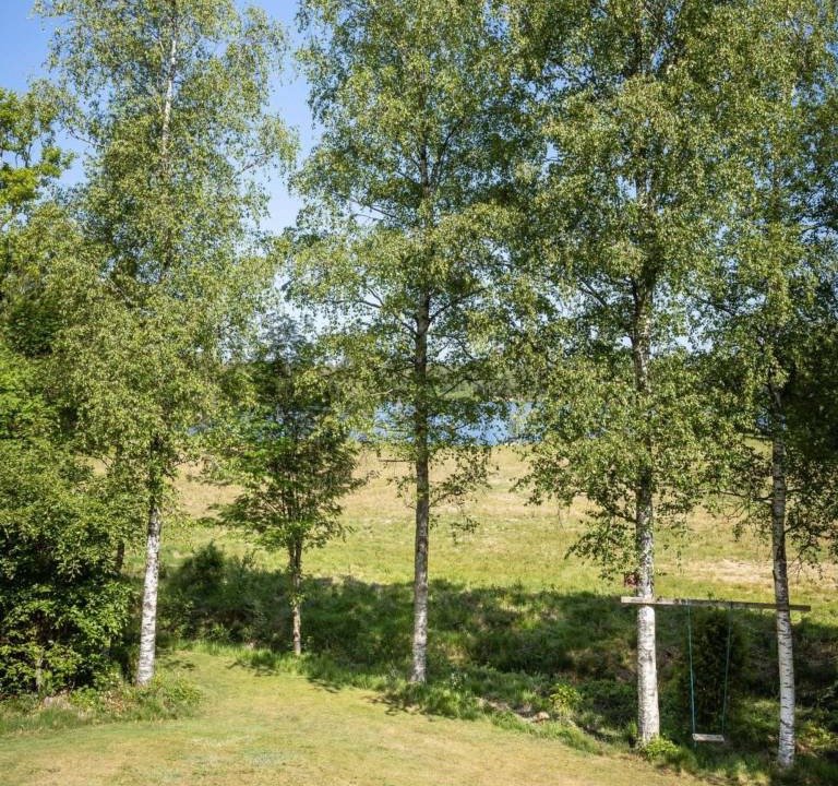 Photo of Others in Markaryd Municipality