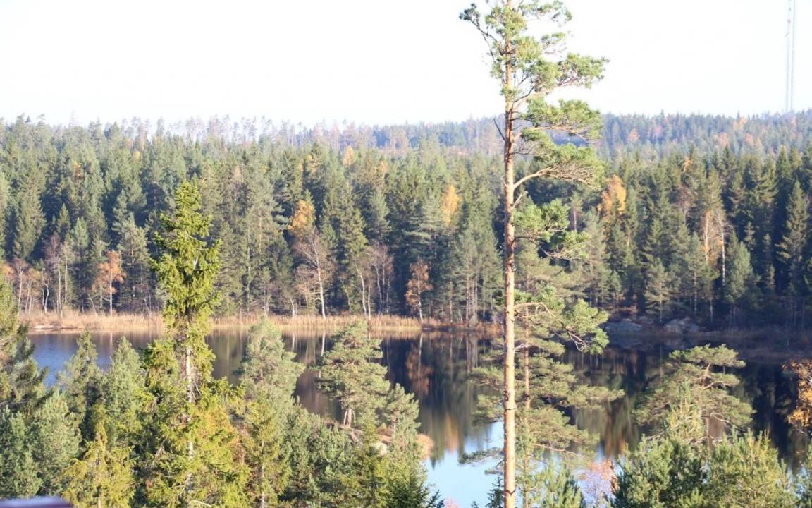 Photo of Others in Backefors