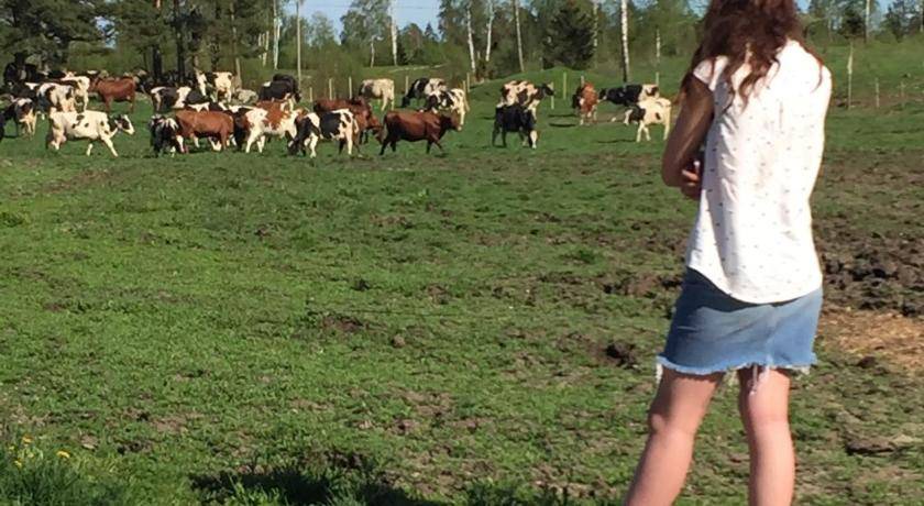 Photo of Others in Ljungby