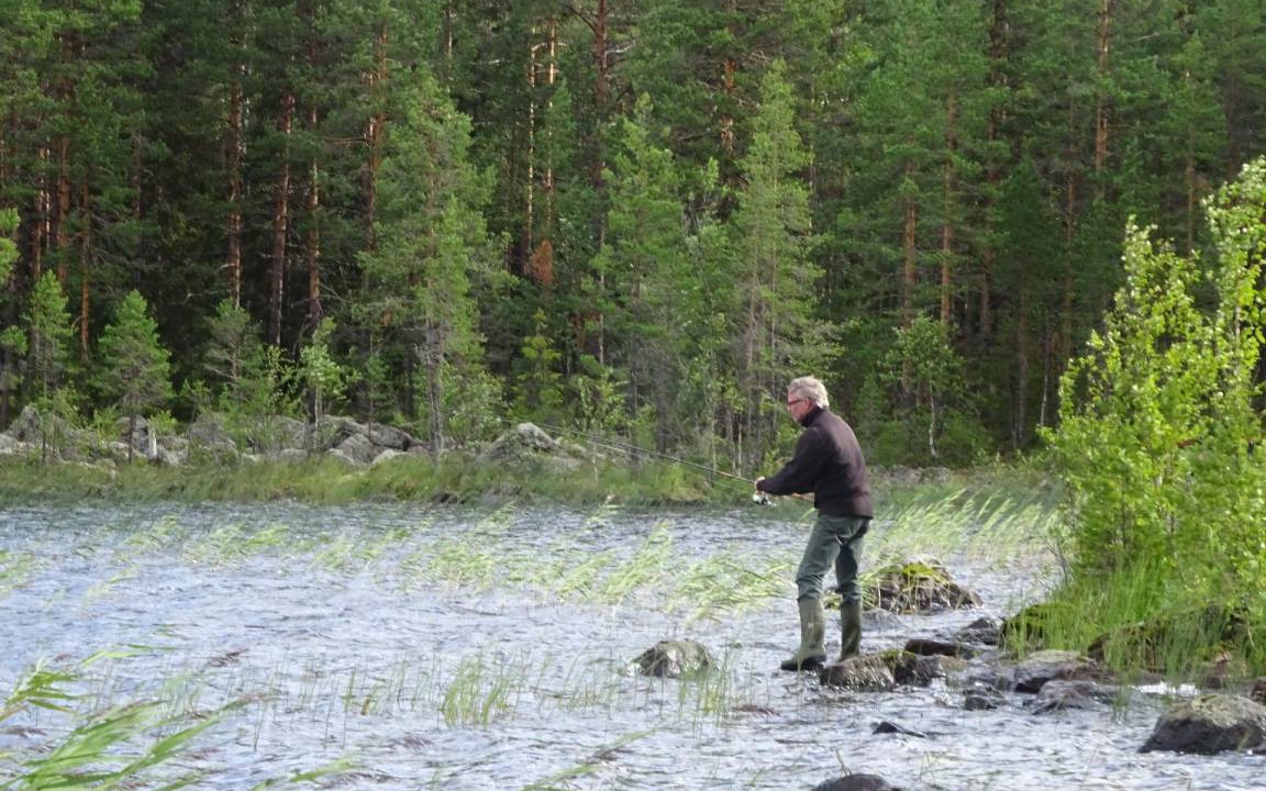 Photo of Others in Solleftea Municipality