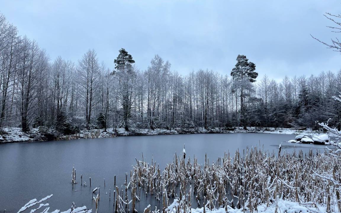 Photo of Others in Stavsjo
