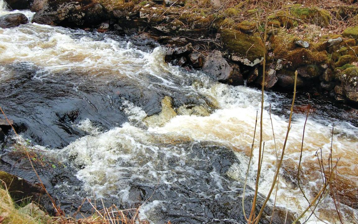 Photo of Others in Ullared