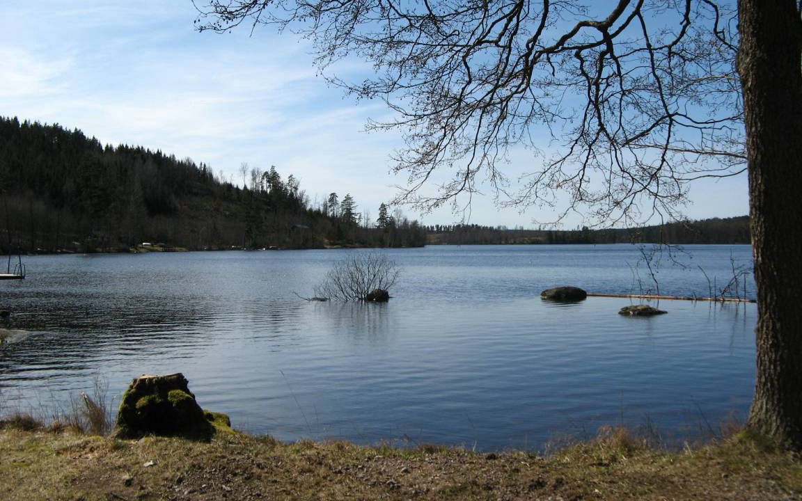 Photo of Others in Lonneberga