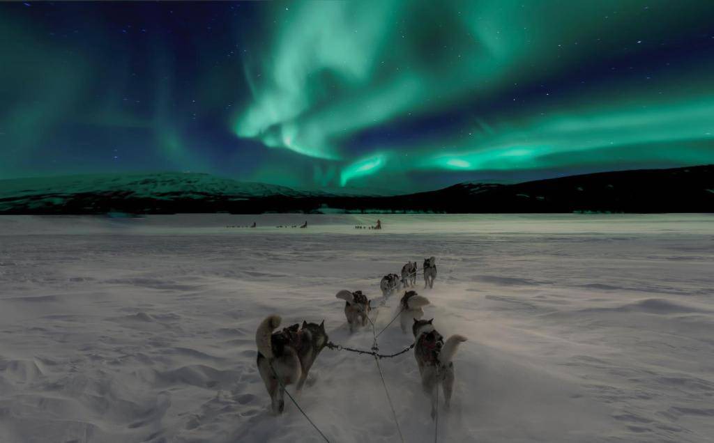 Photo of Others in Jukkasjarvi