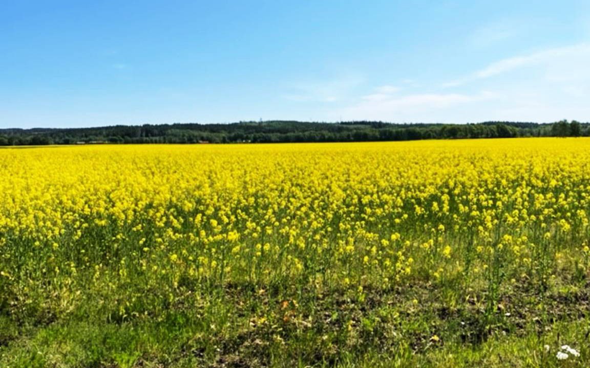 Photo of Outdoor in Eldsberga