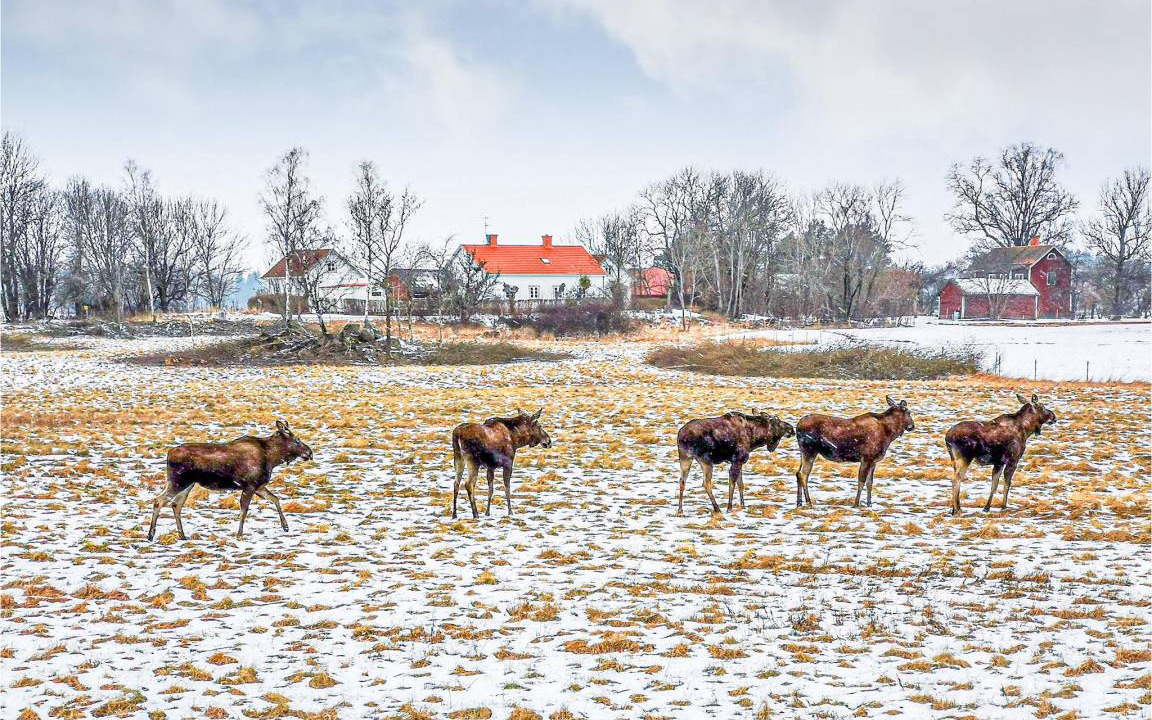 Photo of Others in Eskilstuna