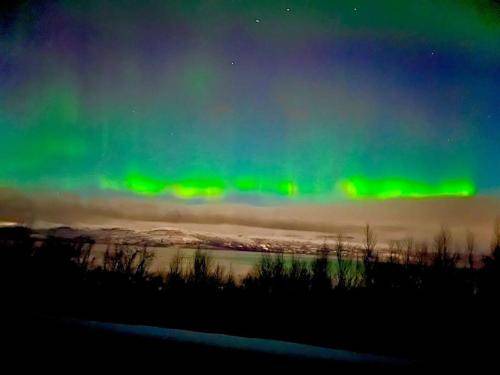 Photo of Others in Kiruna