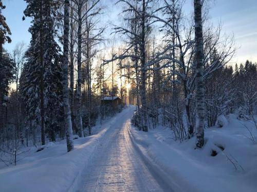 Photo of Others in Strombacka