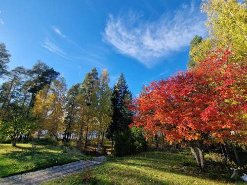 Photo of Others in Falun
