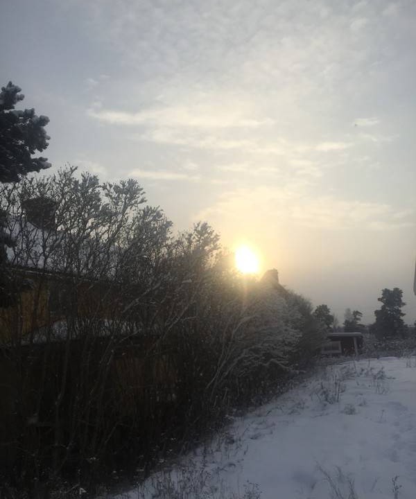 Photo of Others in Sandviken