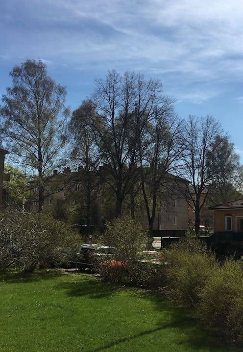 Photo of Others in Uppsala