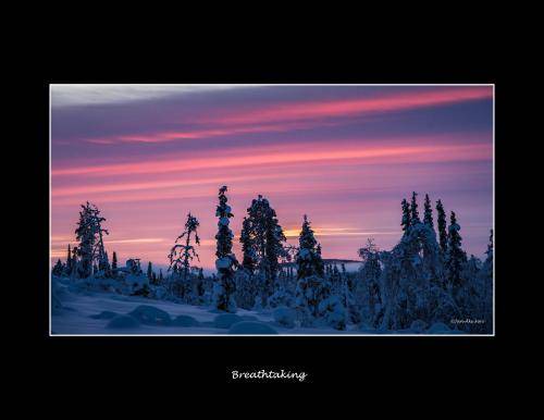 Photo of Others in Lannavaara