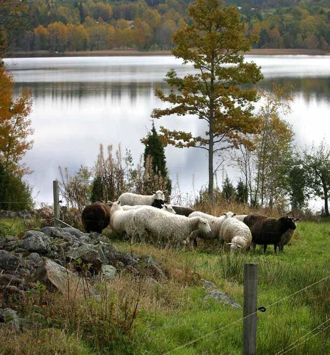 Photo of Others in Herrang