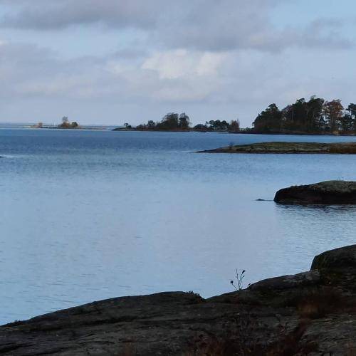 Photo of Others in Vargon