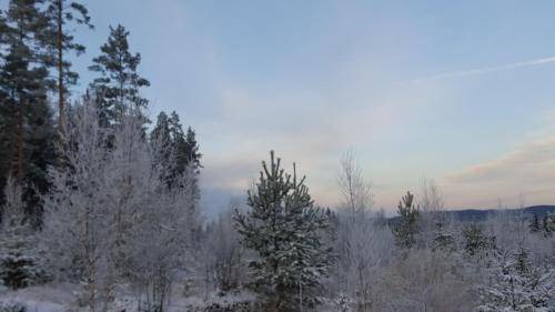 Photo of Others in Sater Municipality