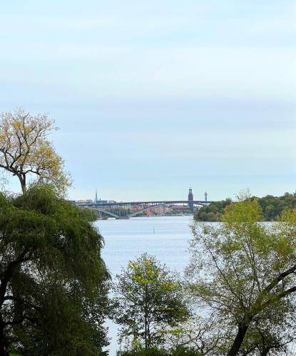 Photo of Others in Kungsholmen