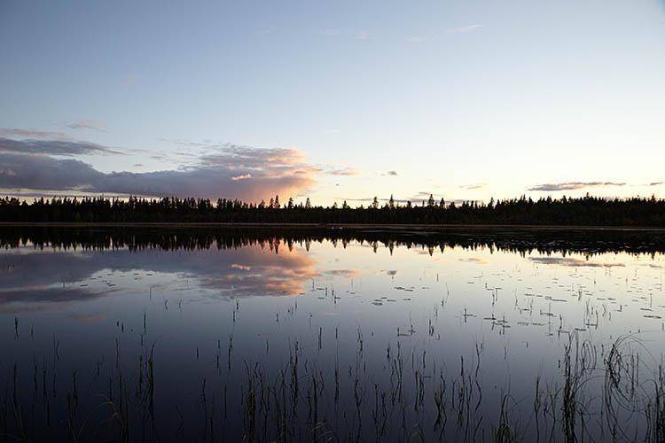Photo of Others in Botsmark