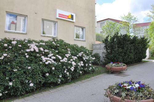 Photo of Others in Brandbergen