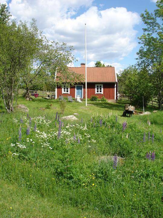 Photo of Others in Hultsfred