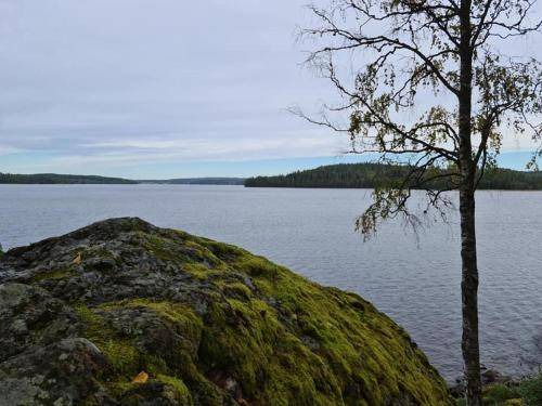 Photo of Others in Vargon
