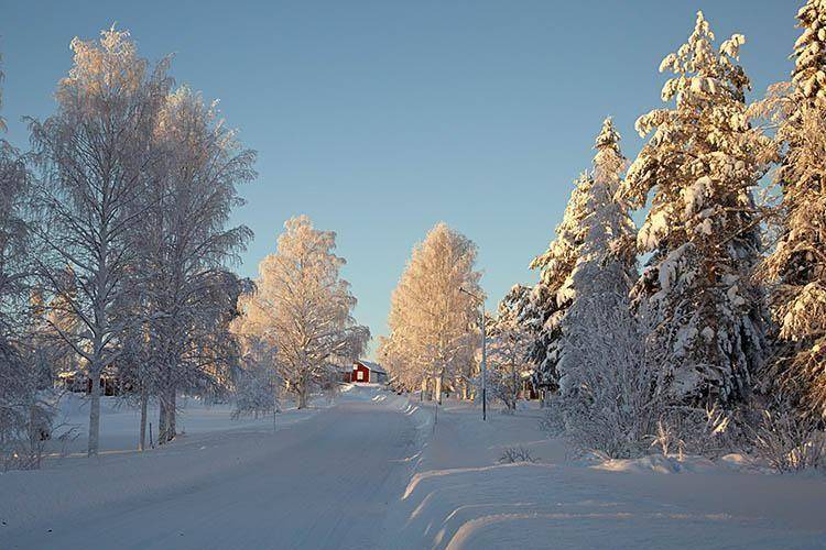 Photo of Others in Botsmark