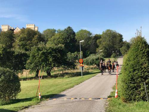 Photo of Others in Vaxholm Municipality