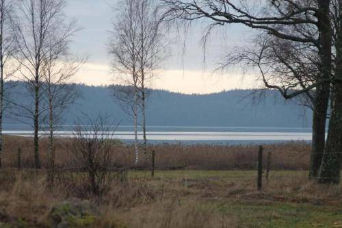 Photo of Others in Vargon