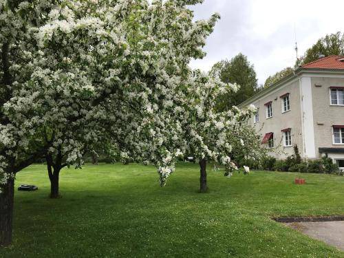 Photo of Others in Skovde
