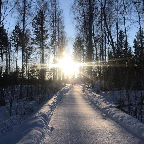 Photo of Others in Strombacka