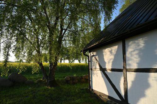 Photo of Others in Kivik