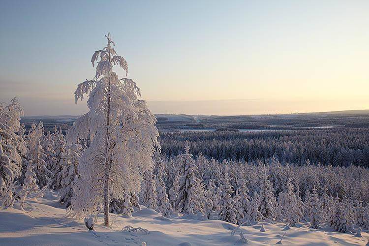 Photo of Others in Botsmark
