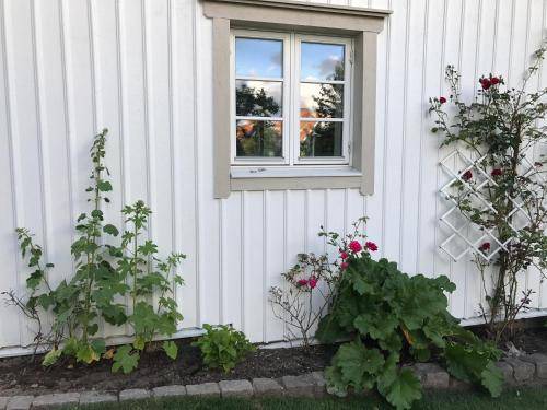 Photo of Others in Orgryte-Harlanda