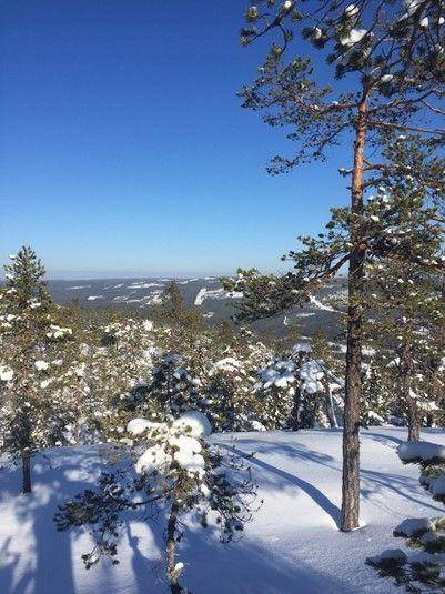 Photo of Others in Hammarstrand