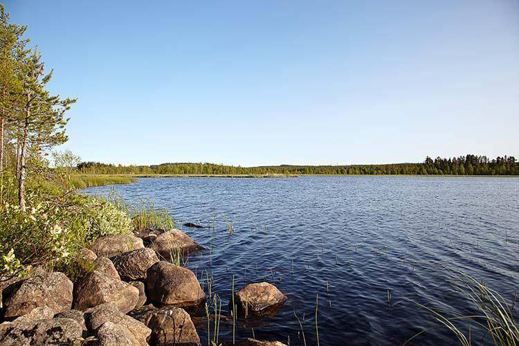 Photo of Others in Botsmark