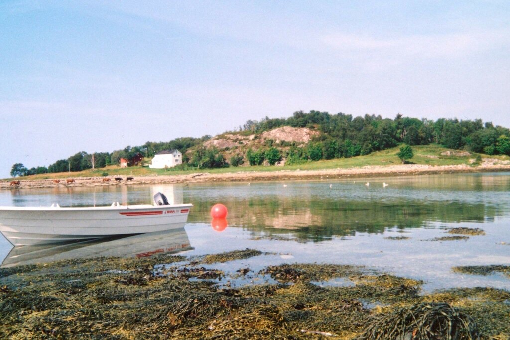 Photo of Outdoor in Meloy