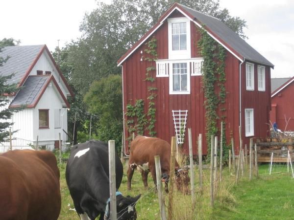 Photo of Buildings in Snasa