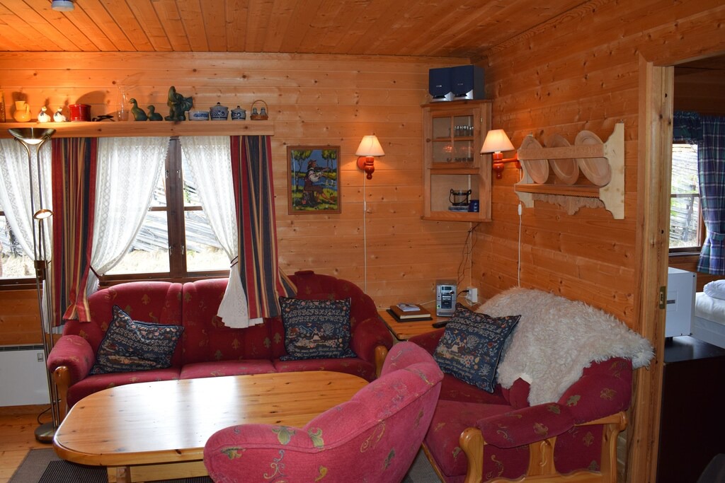 Photo of Livingroom in Svingvoll
