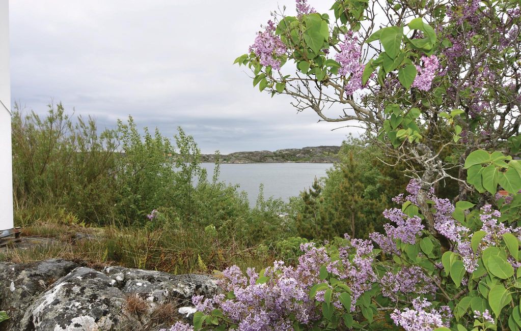 Photo of Others in Kyrkesund